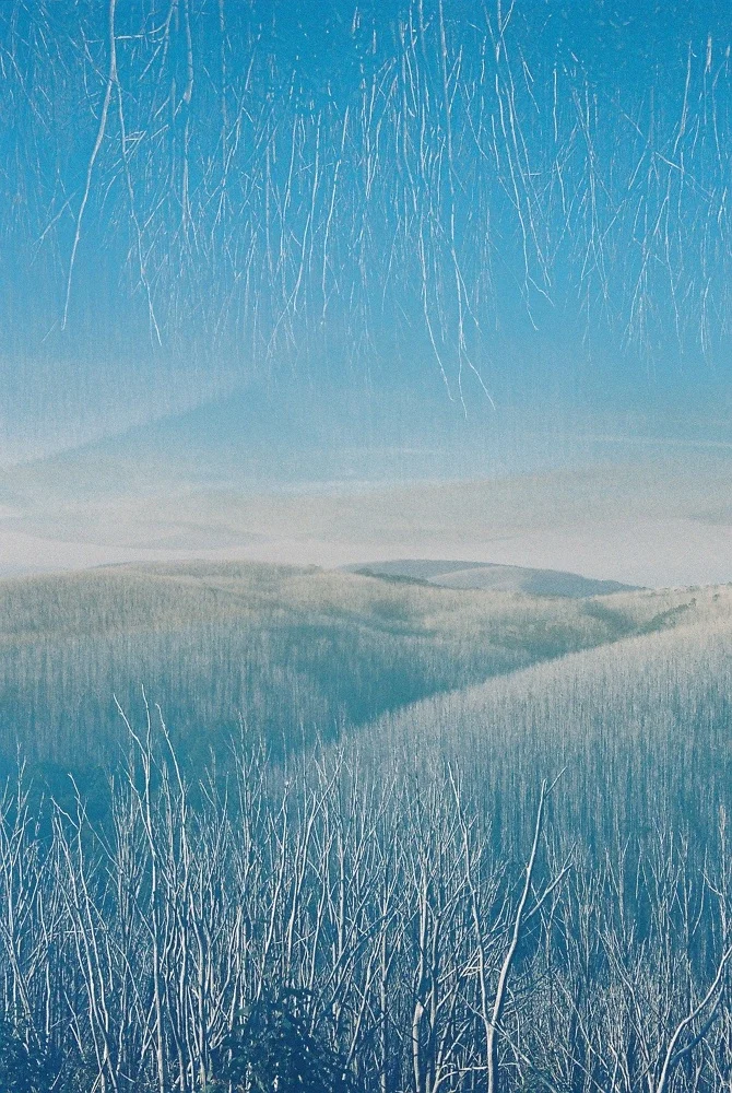 D1000027_670.jpg