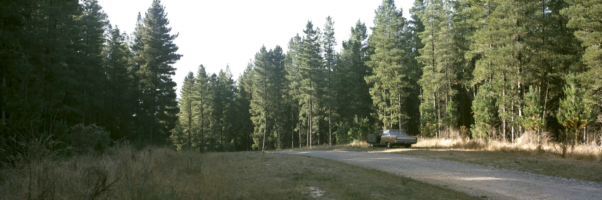 SW20190409-9-4-19 002.JPG