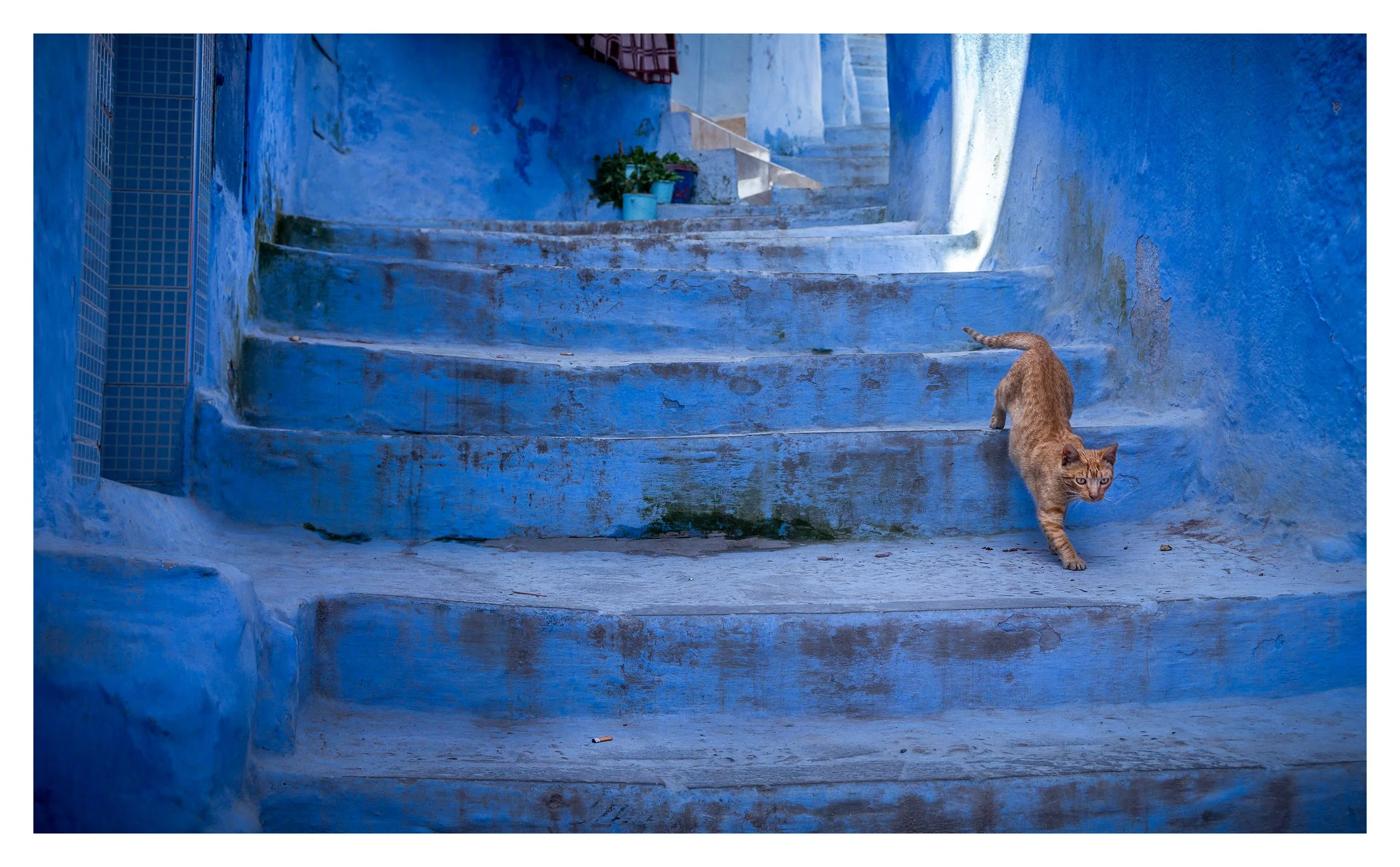 portfolio49 copy.jpg