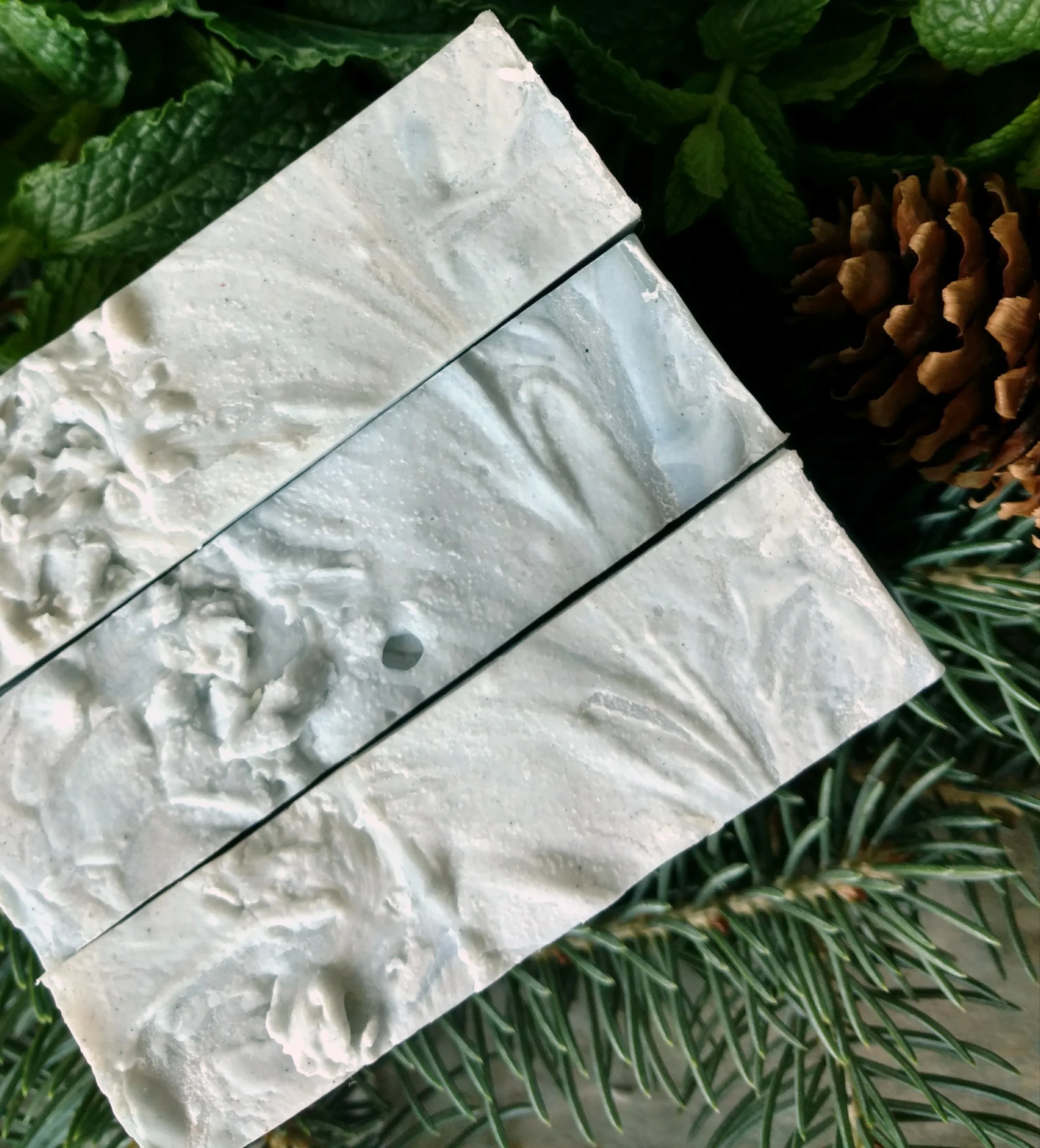 Peppermintspruce2.jpg