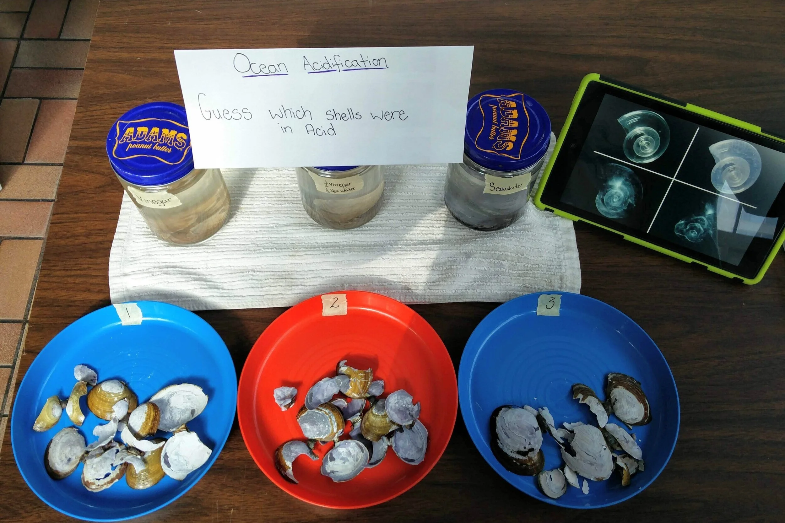 Activity Climate Change and Ocean Acidification — Sea Smart Help Us