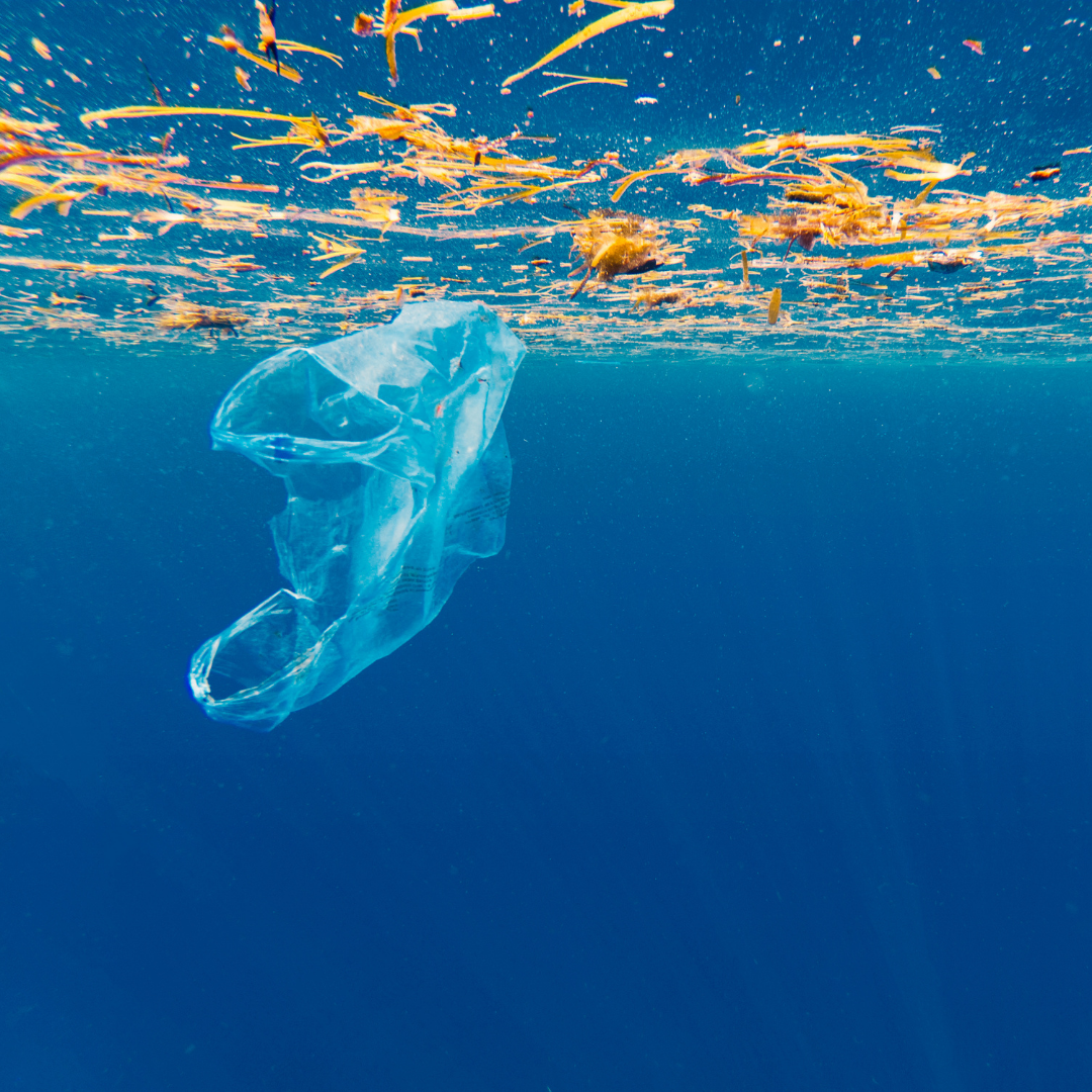 19 Ocean Pollution Facts Everyone Should Know — Sea Smart Help Us