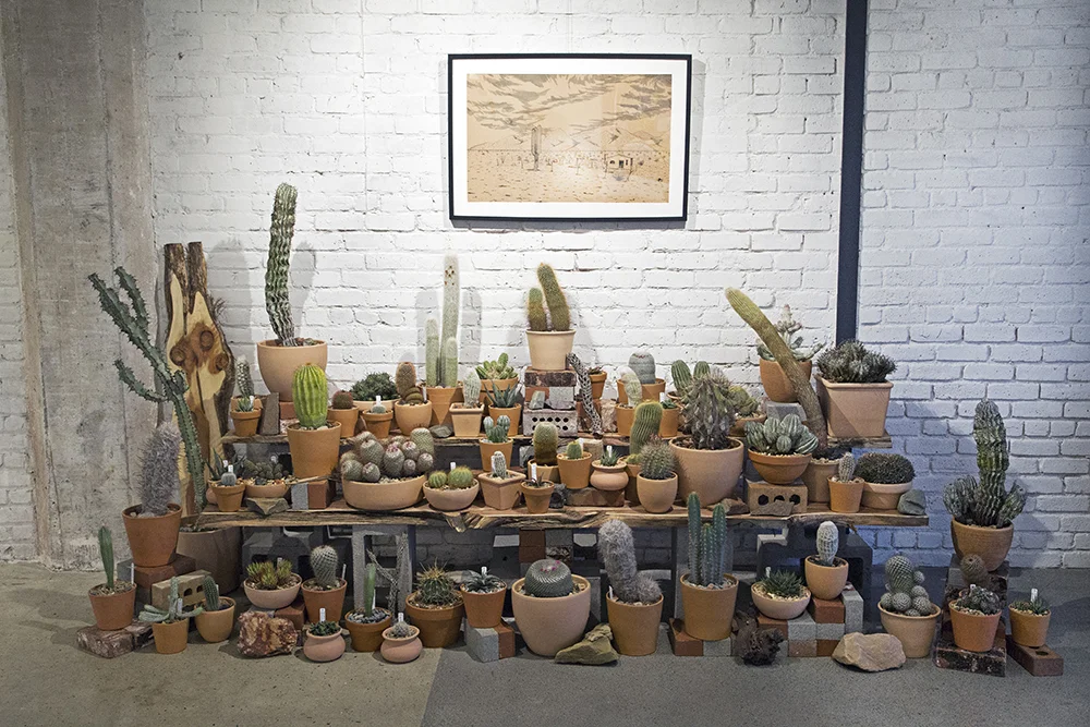 web_public_land_store_urban_hive_4.jpg