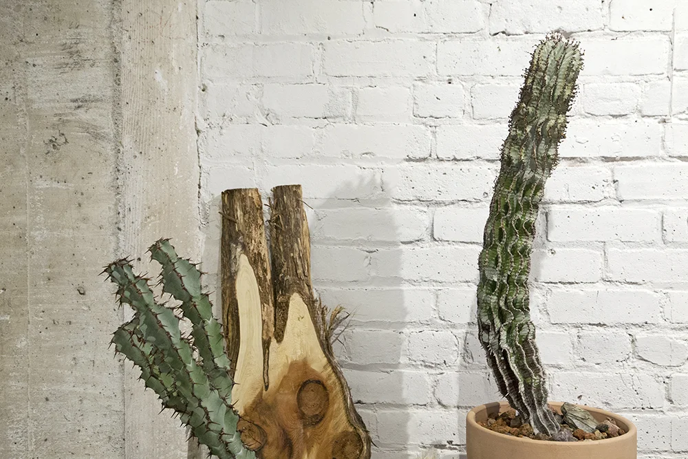 web_public_land_store_urban_hive_10.jpg