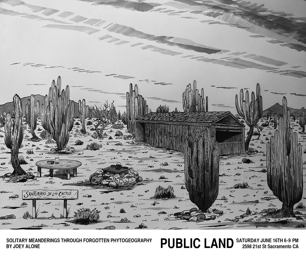 public_land_store_sacramento_joey_alone_art_show_flyer.jpg