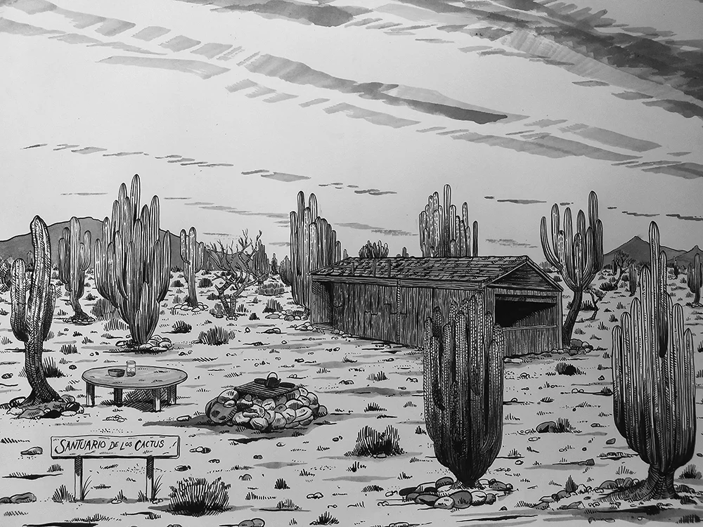 public_land_store_sacramento_joey_alone.jpg