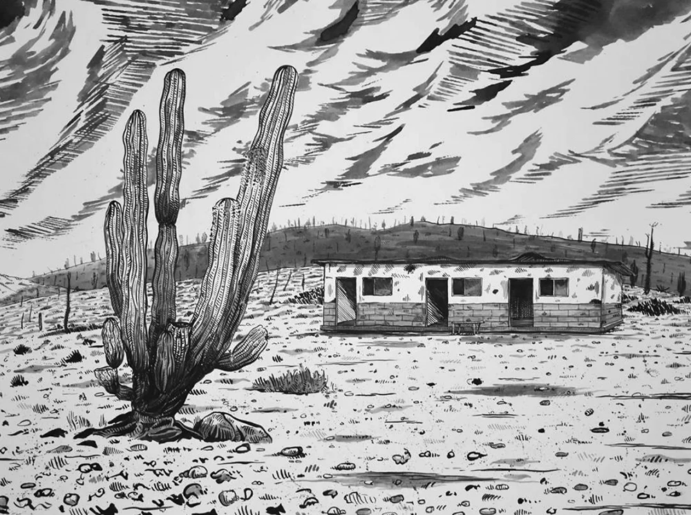 public_land_sacramento_Art_exhbition_cacti_.jpg