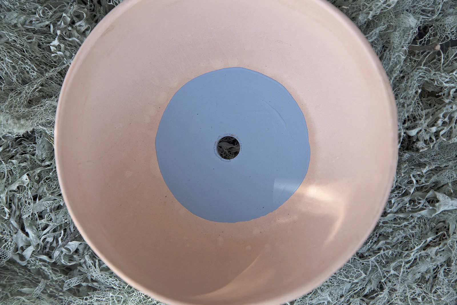 cody_hudson_public_land_planters_low_bowl_inside.jpg