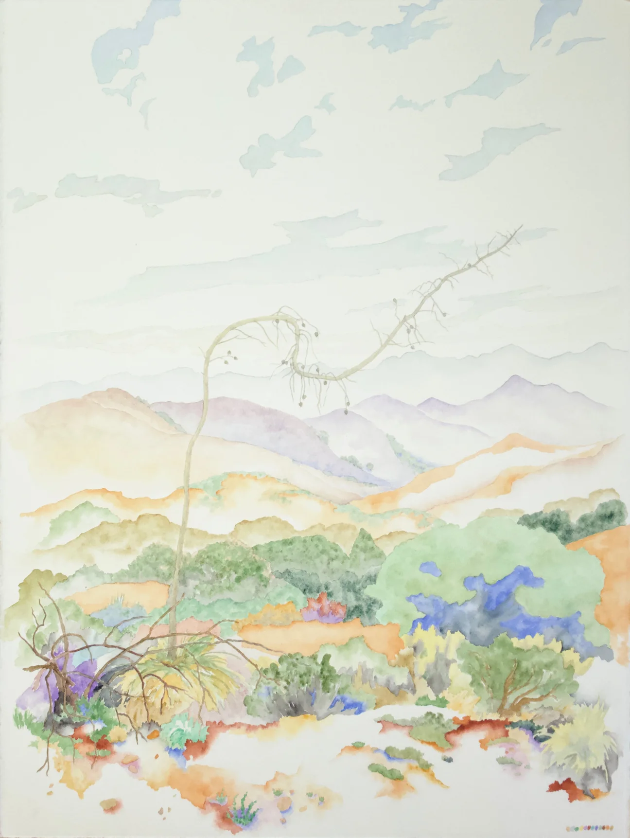 Charlotte Beavers art exhibition at Public Land Store Sacramento.