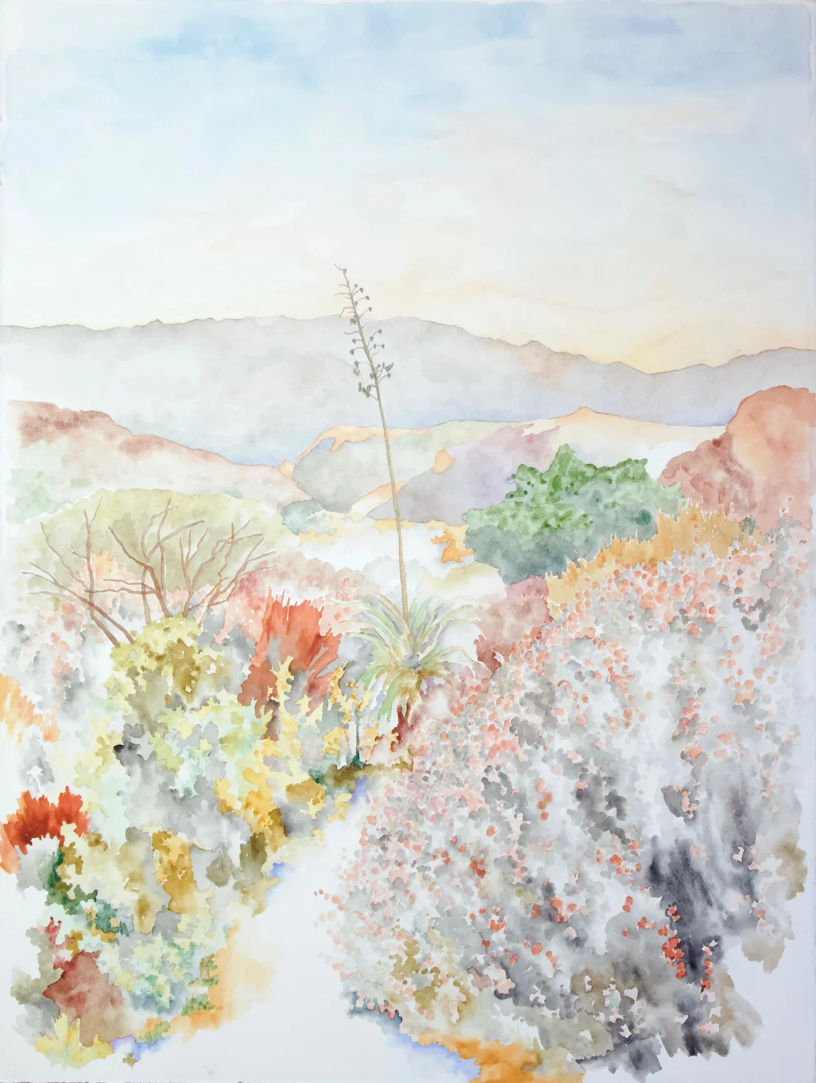 Charlotte Beavers art exhibition at Public Land Store Sacramento.