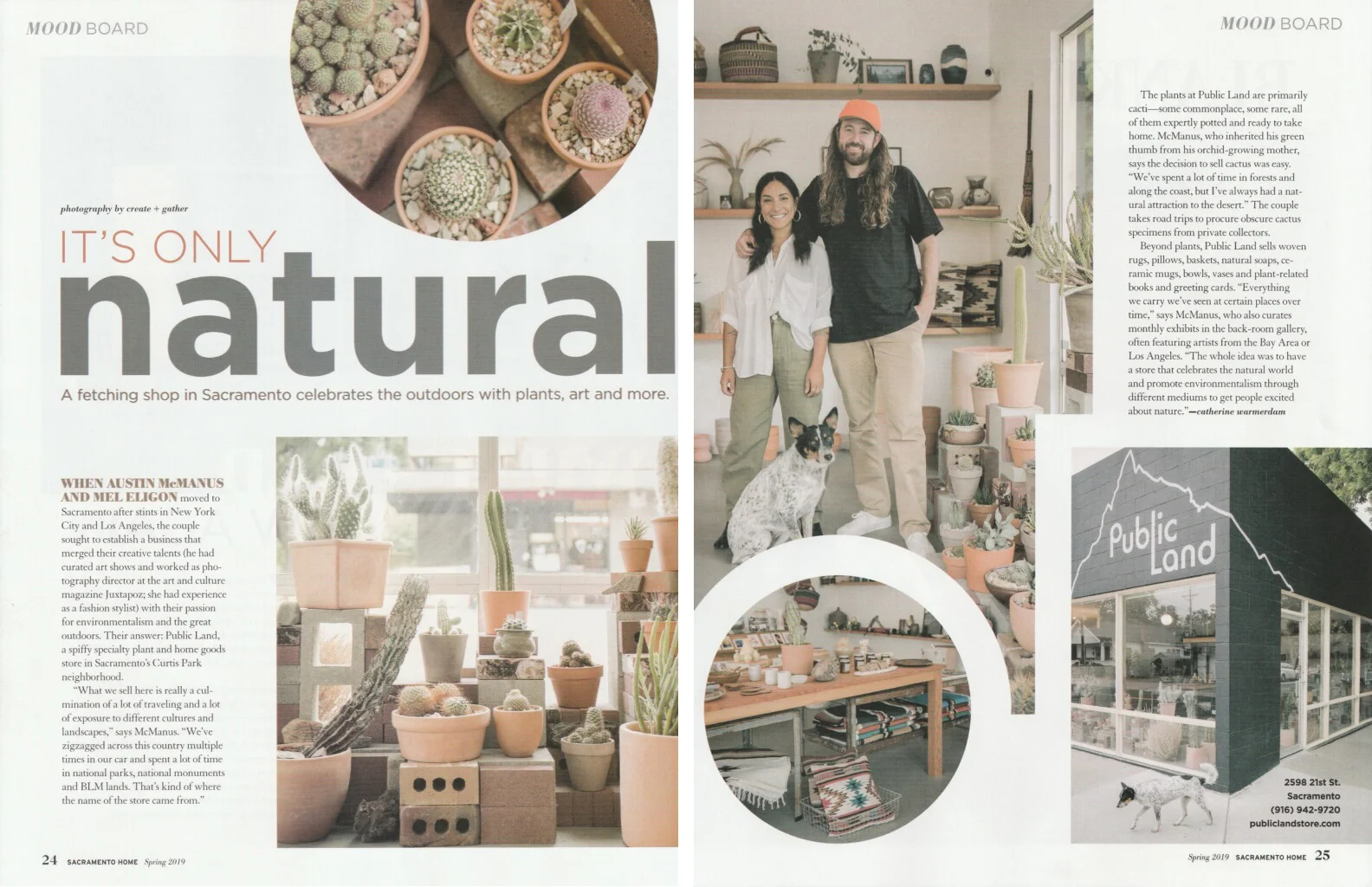 Public Land cactus store and art gallery in Sacramento