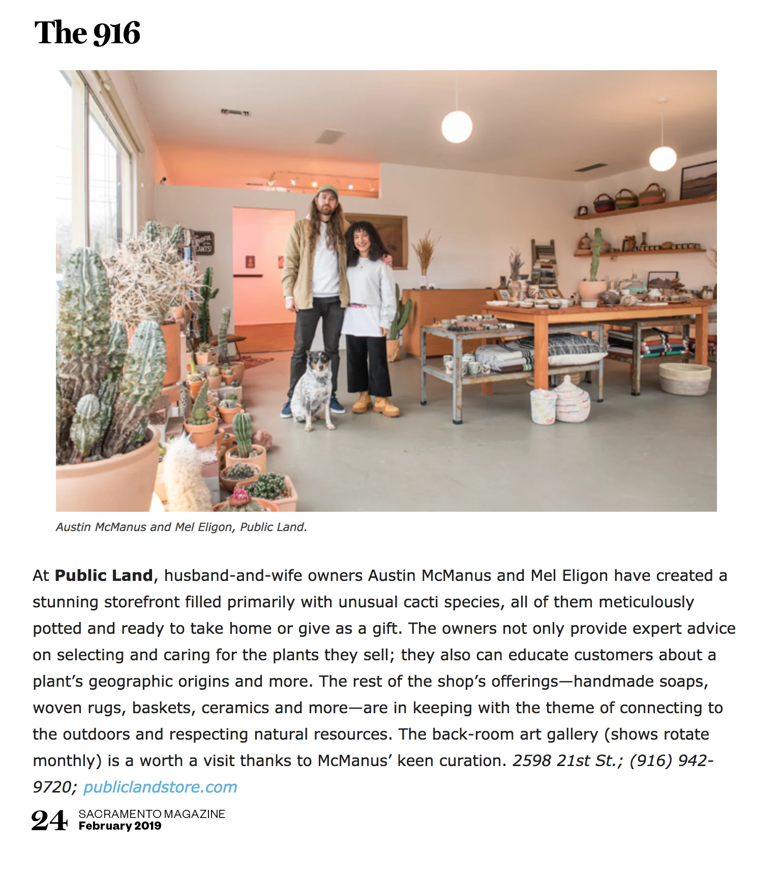 Sacramento Boutique and art gallery. Cactus store in Sacrmamento.