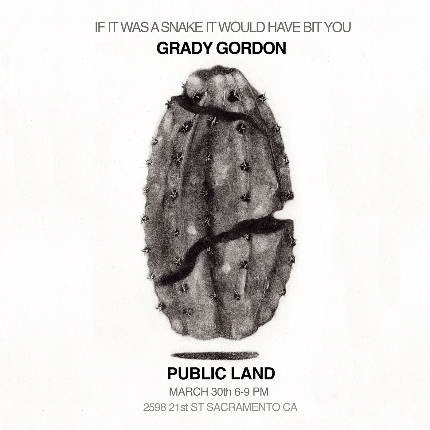 Grady Gordon art show in Public Land Sacramento