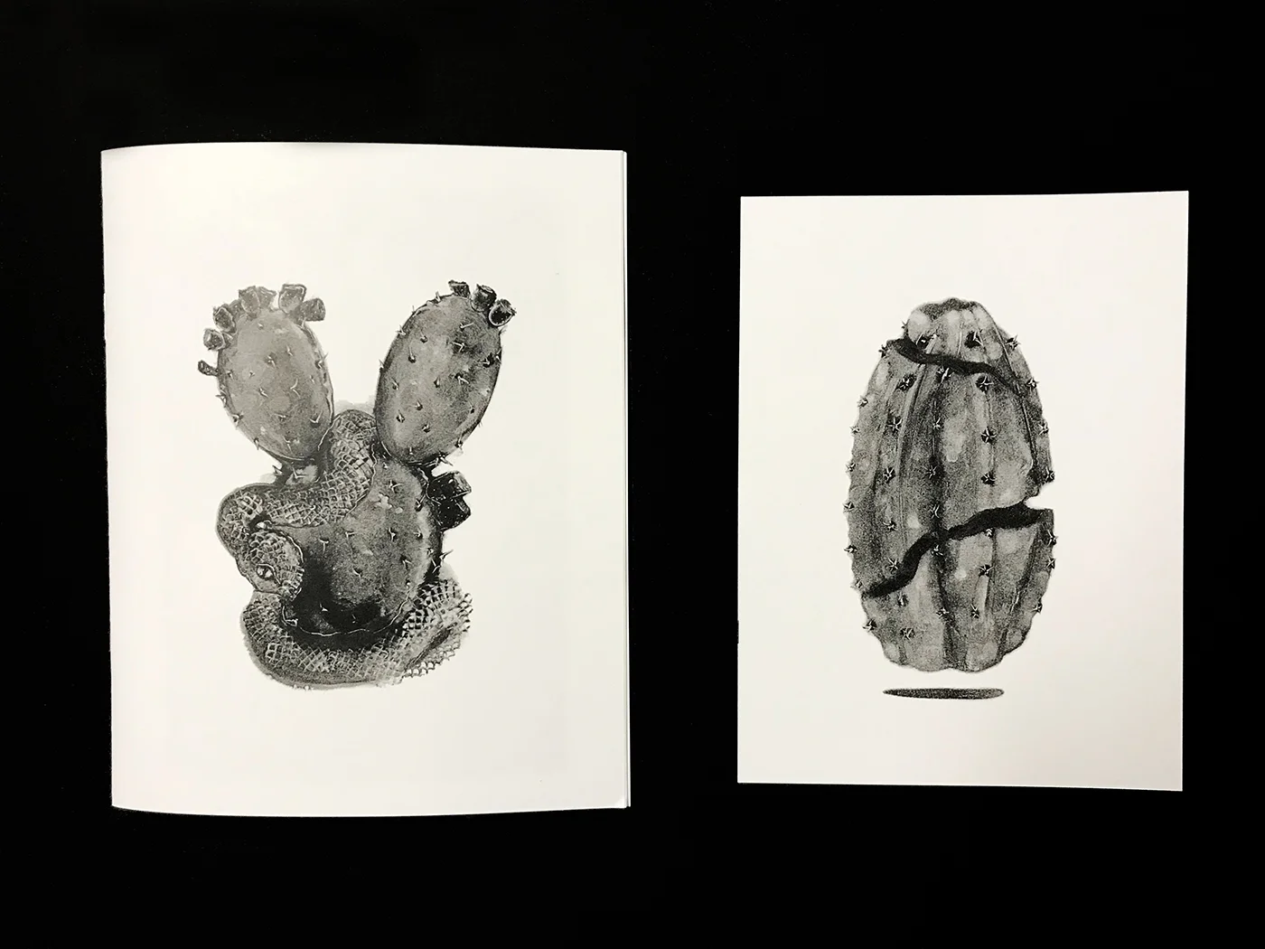 Grady Gordon zine published by Public Land in Sacramento