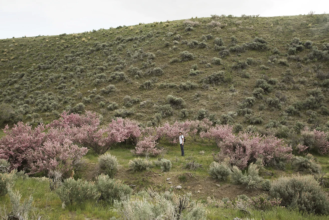 mike_brodie_public_land_sacramento_9.jpg