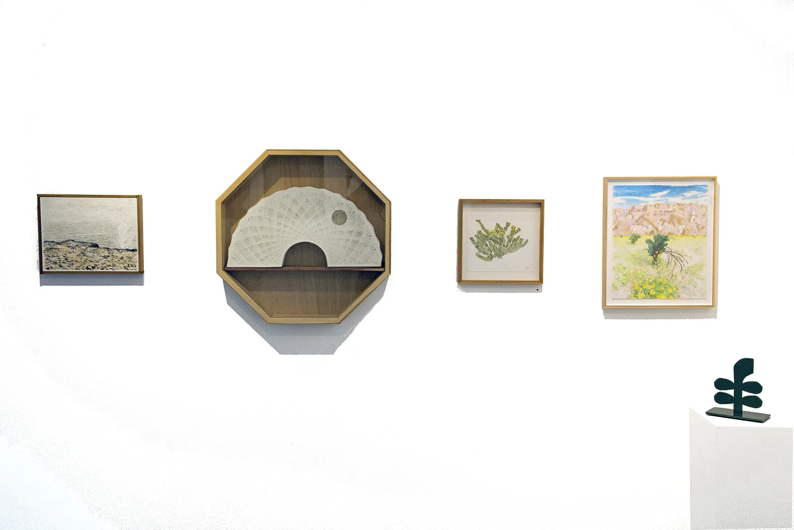 public_land_gallery_sacramento_climate_therapy_6.jpg