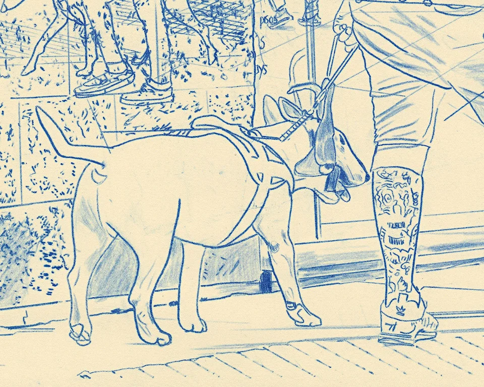 05A_DTW_Spain_DetailDog_REPLACE.jpg