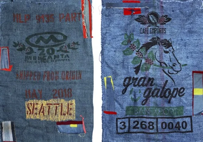 Working the Borders: Embroidering Evolution