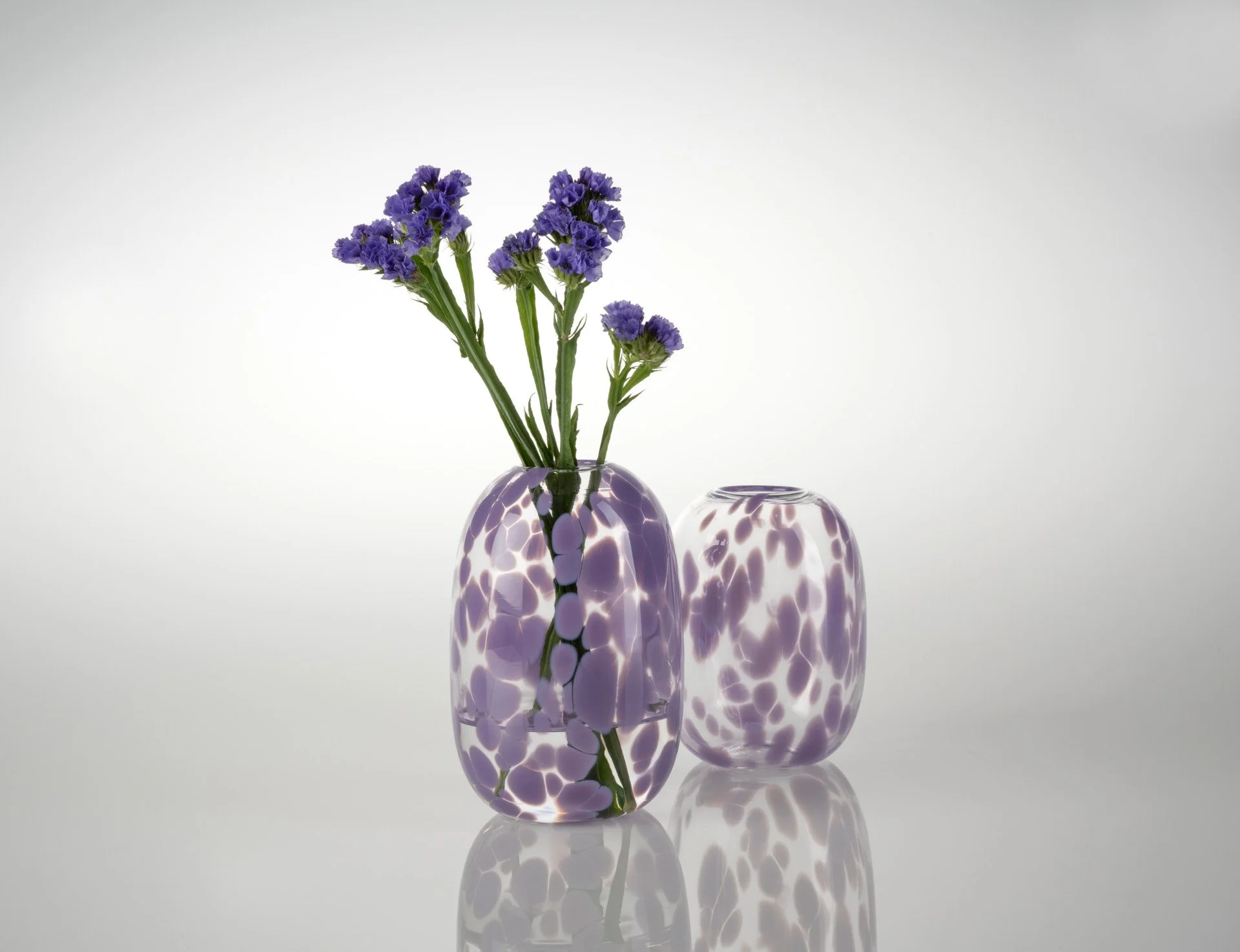 2021-11 EYG Aussie Front Yard Flora - 15 Jacaranda pair styled - Michael Haines Photography.jpeg