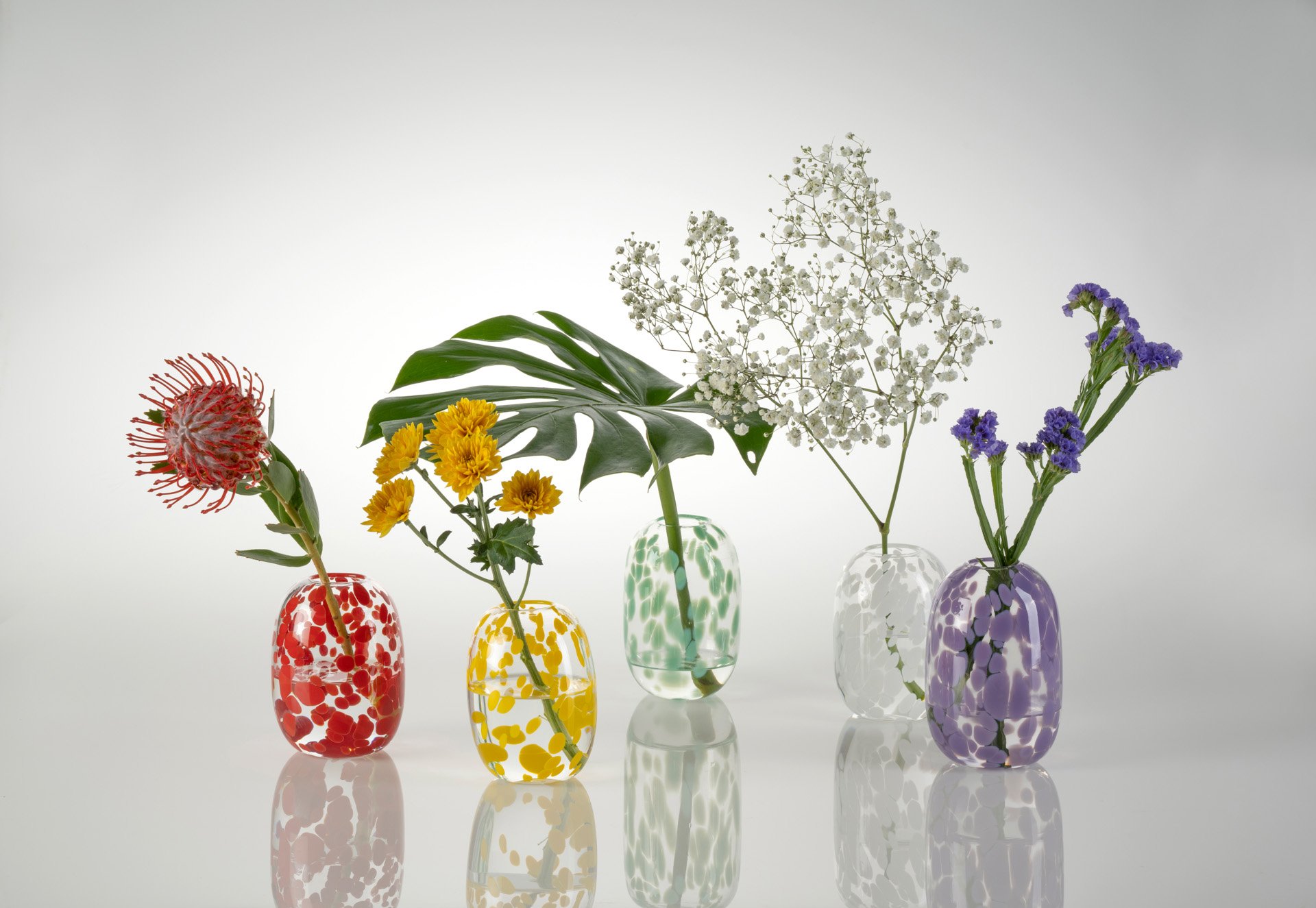 2021-11 EYG Aussie Front Yard Flora - 22 Spots styled - Michael Haines Photography.jpeg