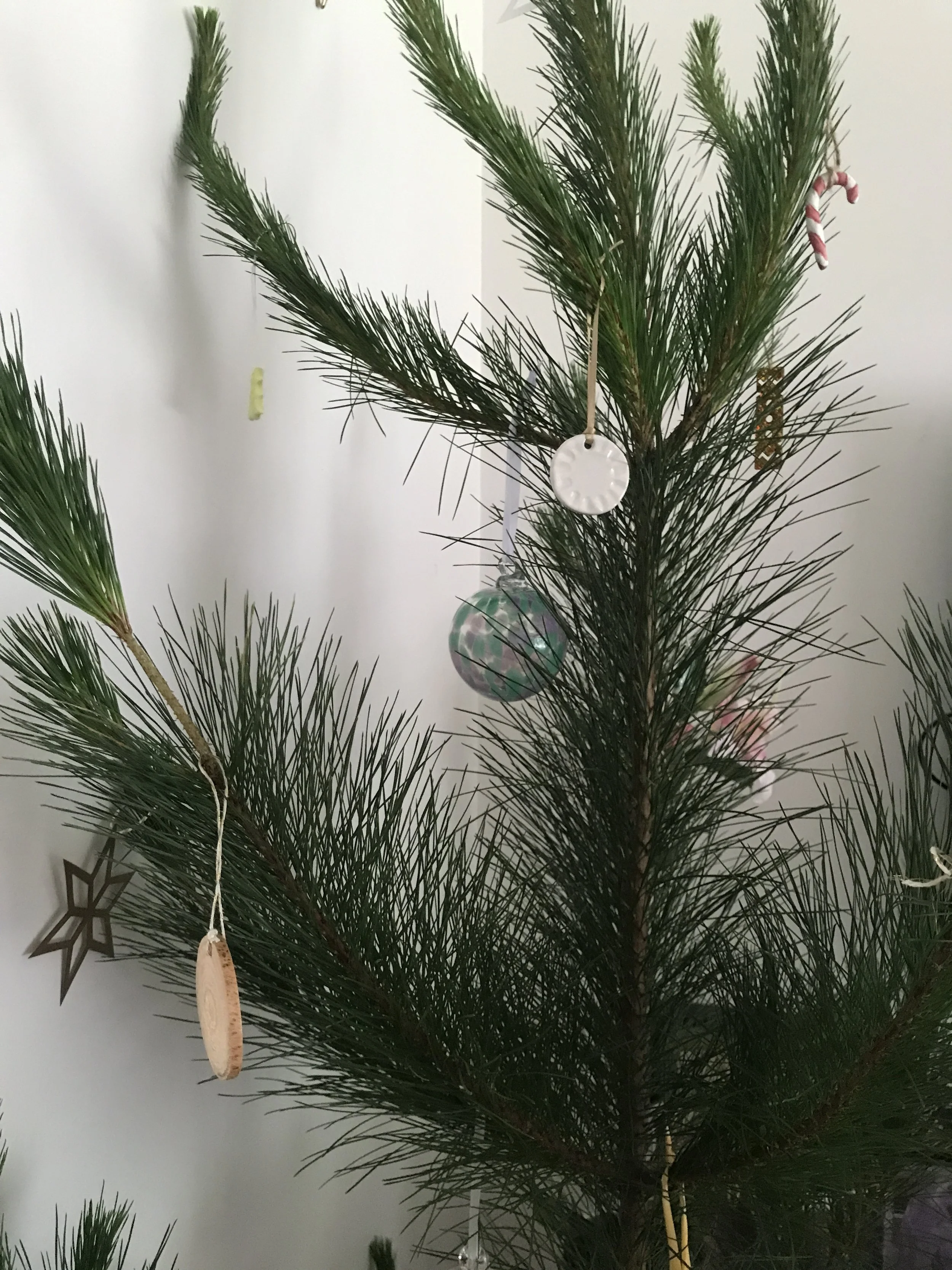 202212 Aussie Flora Baubles 54.JPG