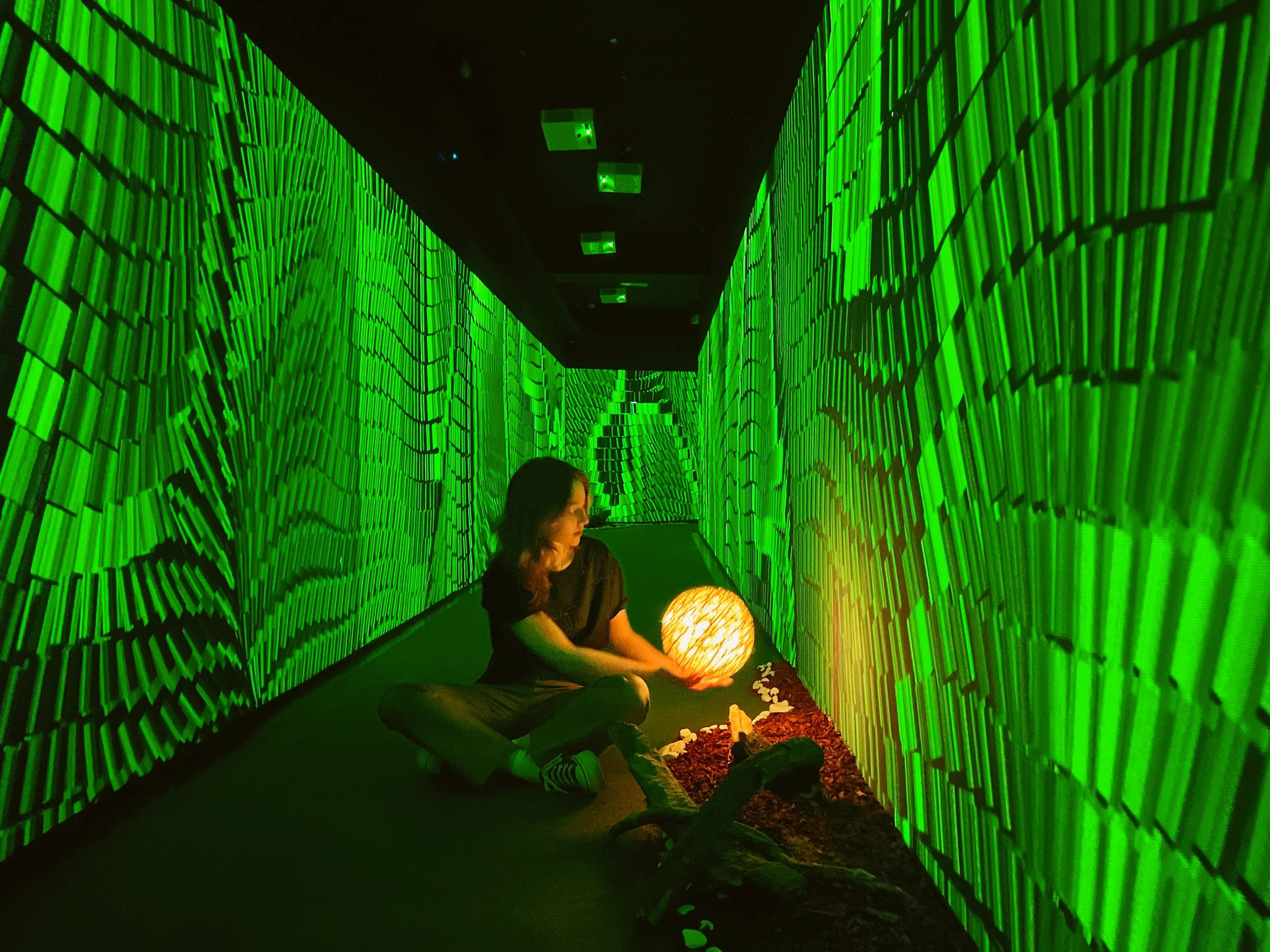 Recreational environment designed to evoke the magic of forest trails