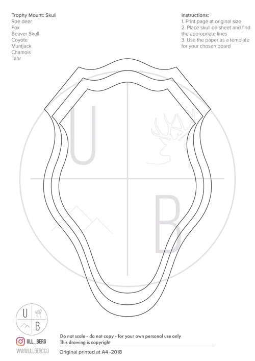 How to make a European style trophy mount — Ullberg