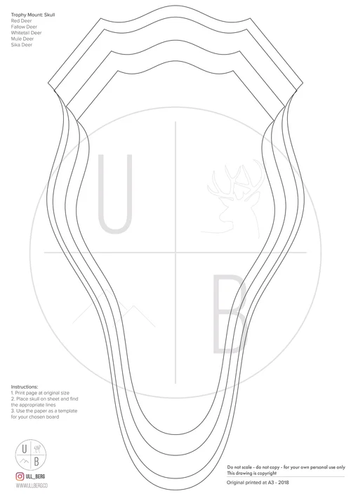 How to make a European style trophy mount — Ullberg