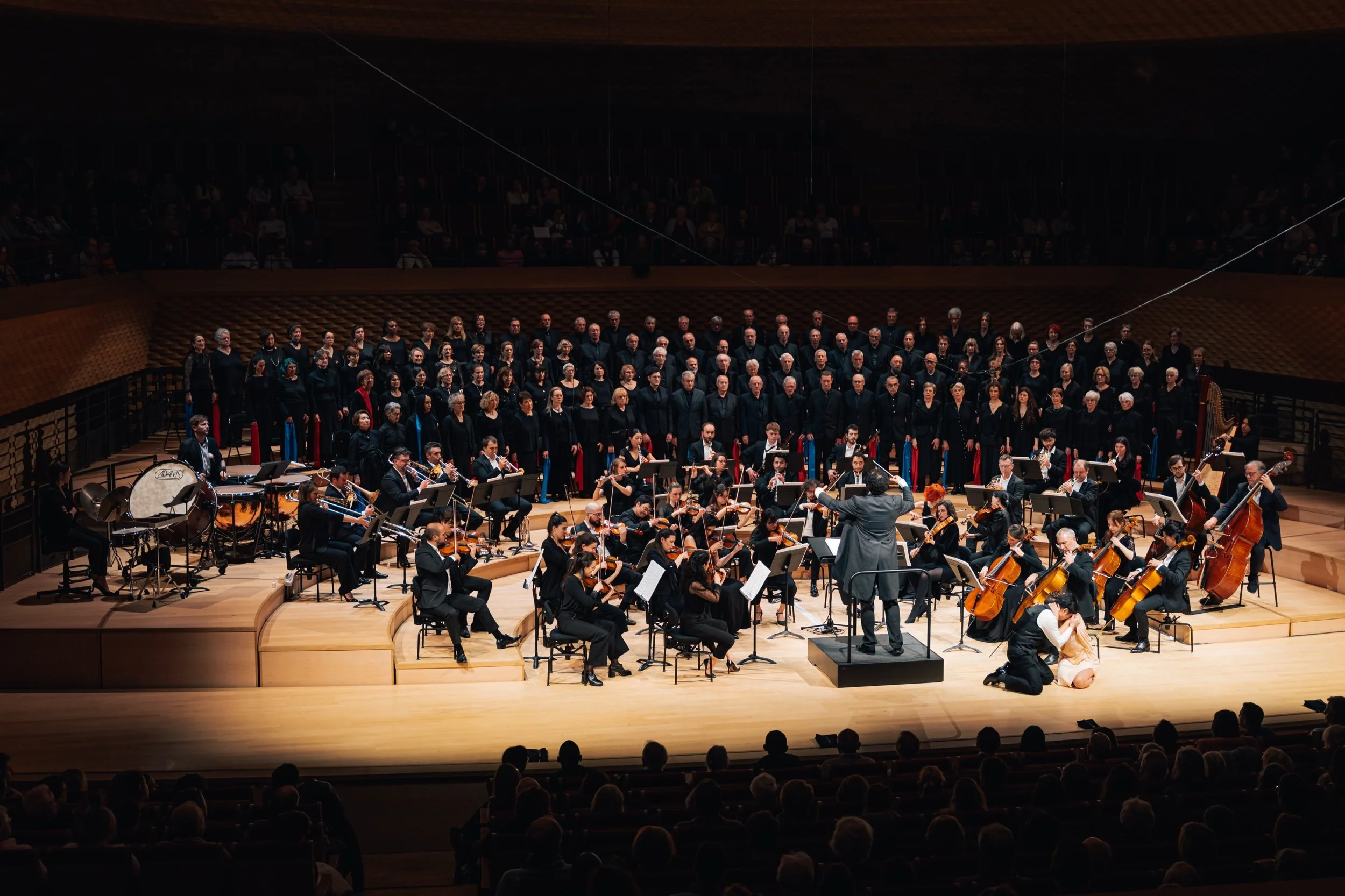 20260125_LCasanova_CPI-7 2.jpeg