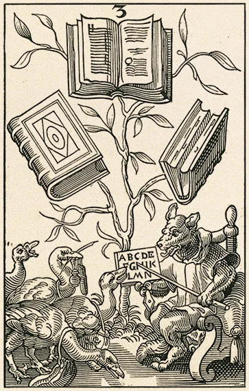 Reader.jpg
