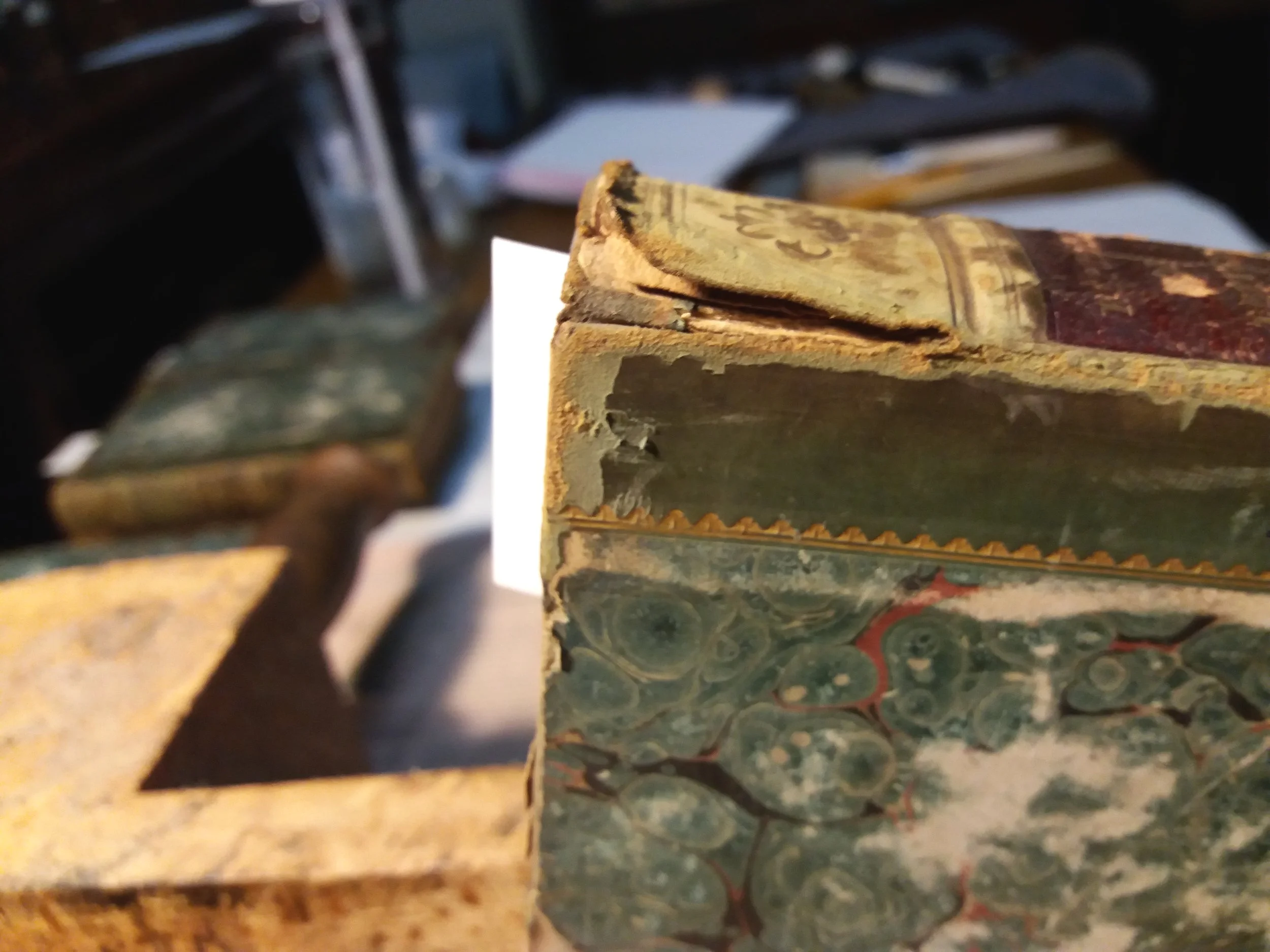 This picture shows the damage to the spine of one of the books.
