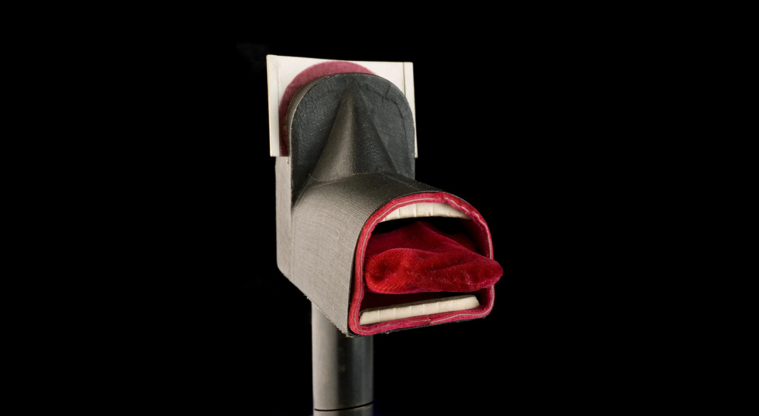 Interjectional Exercises Rowland Hill Phantom Larynx.jpg