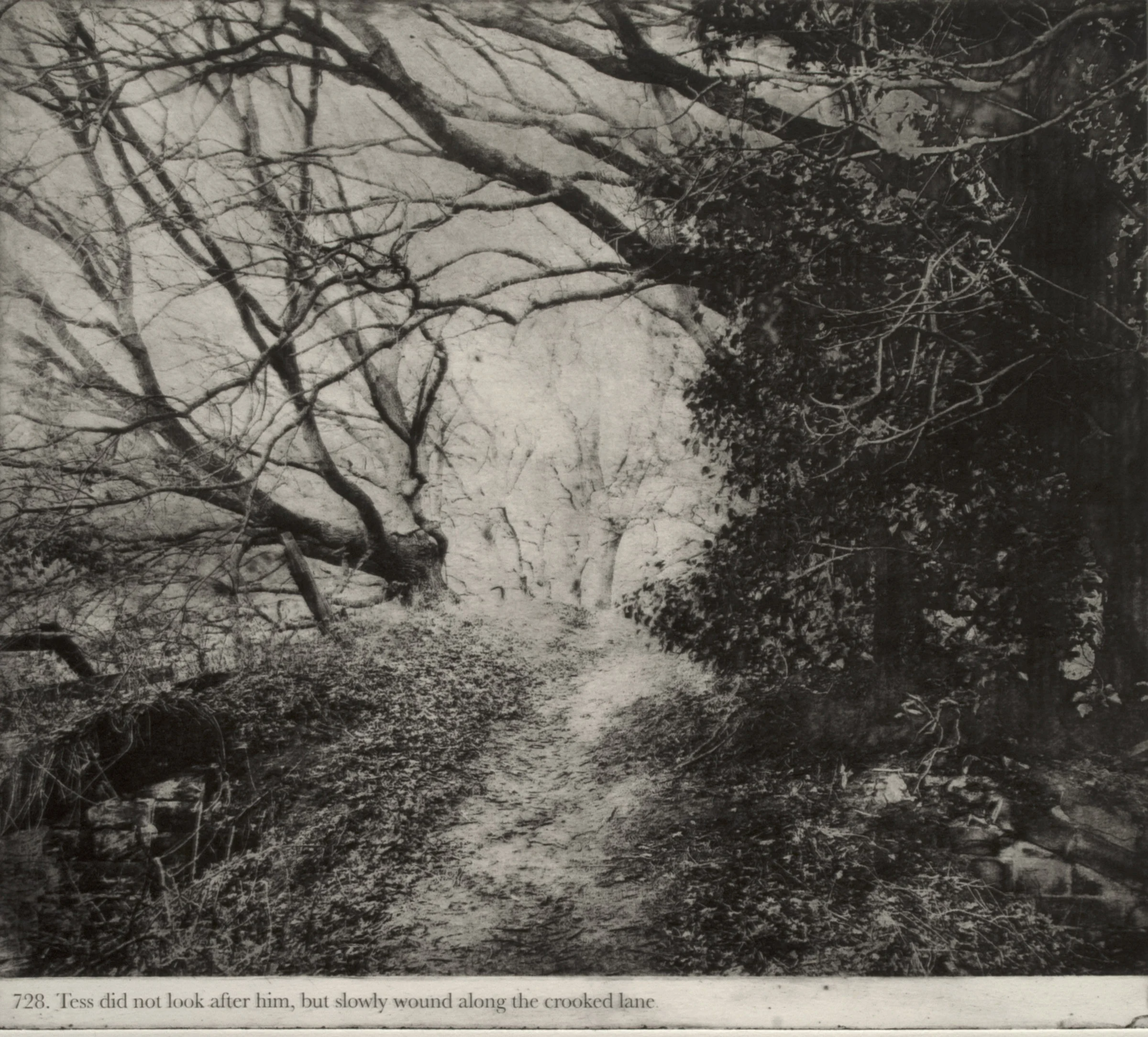 ‘Thus Tess walked on’, Jackie Chettur