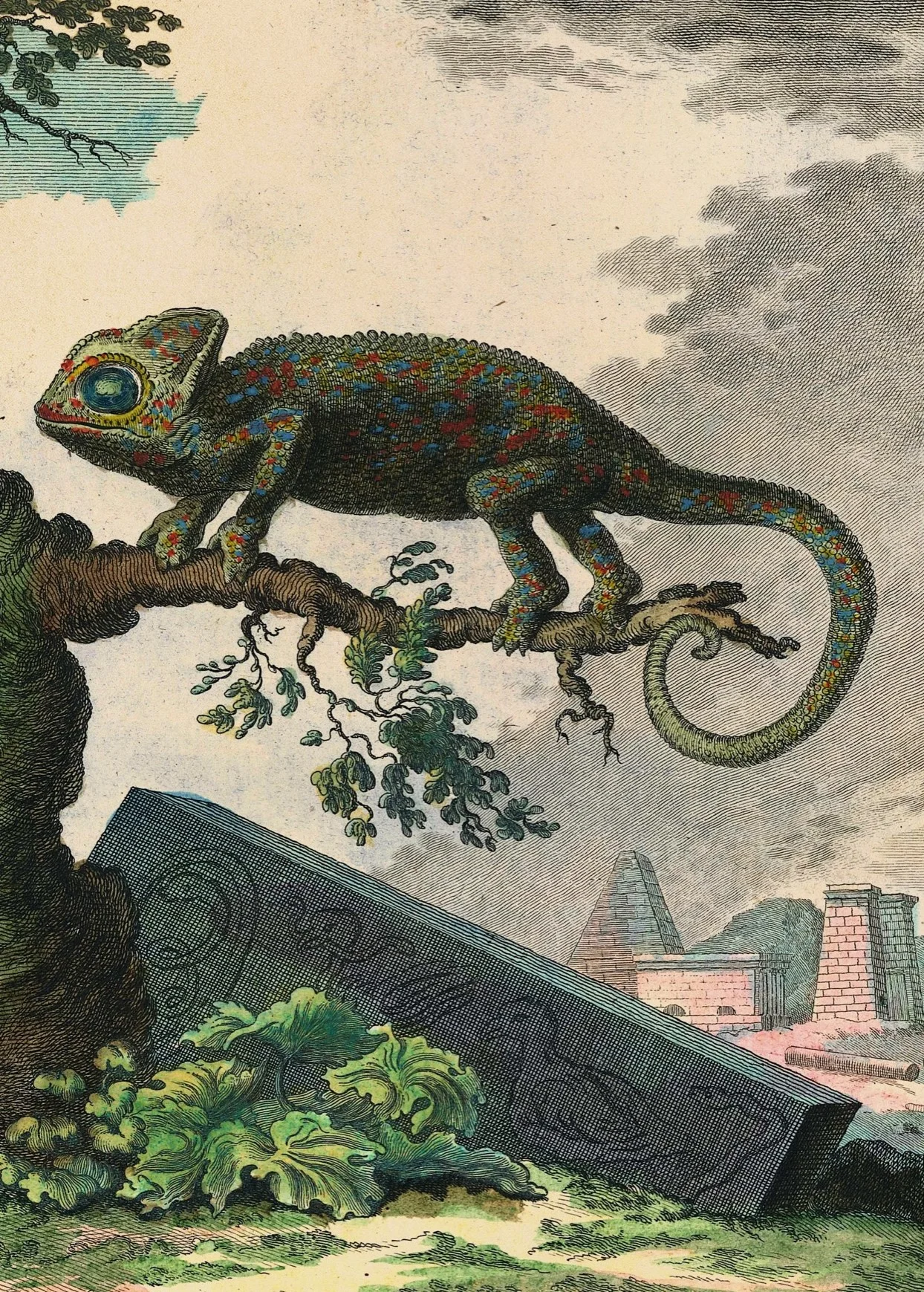 ‘Histoire Naturelle’, Comte de Buffon