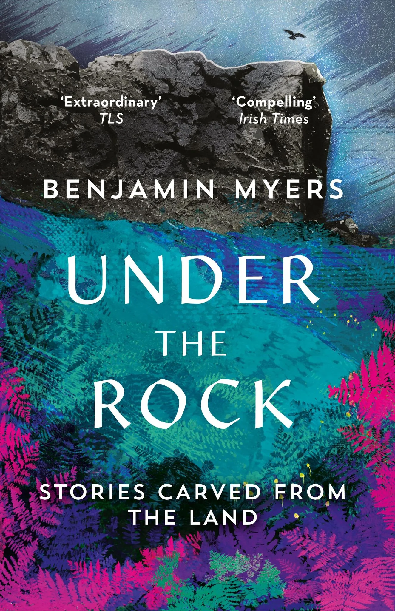 Under the Rock.jpeg