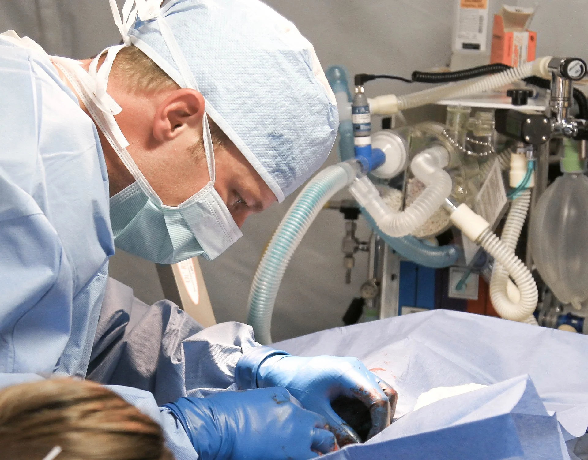 veterinarian-809930_1920.jpg