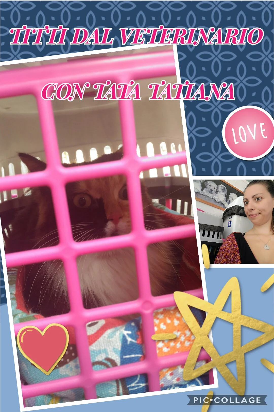 Collage 2017-08-10 11_07_58.jpg