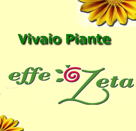 Logo Vivaio Effezeta.jpg