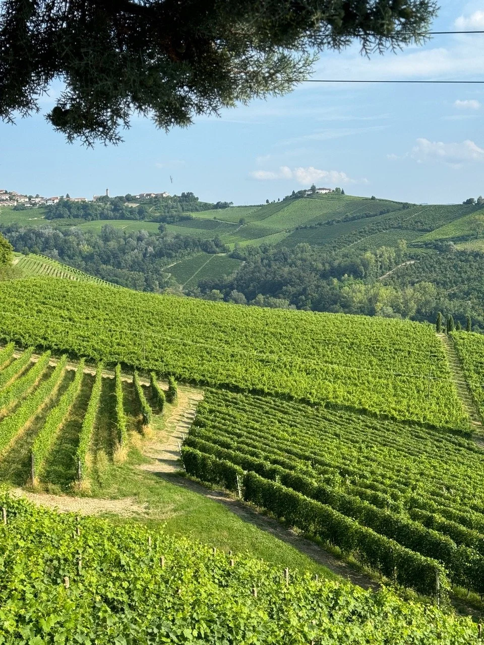 Montaribaldi – Dinner at La Bottega 13