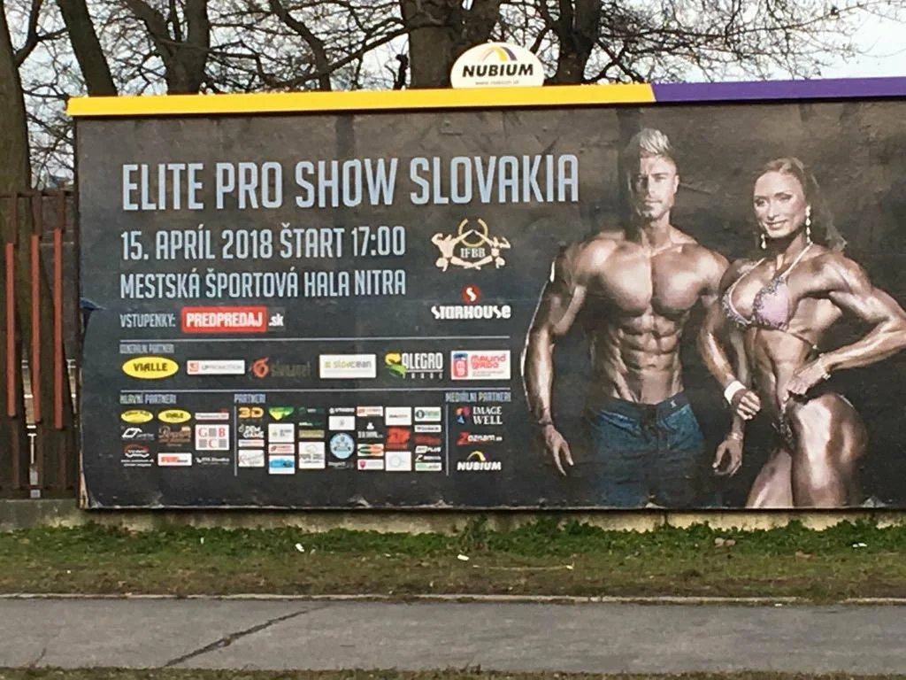 Mainstream Muscle