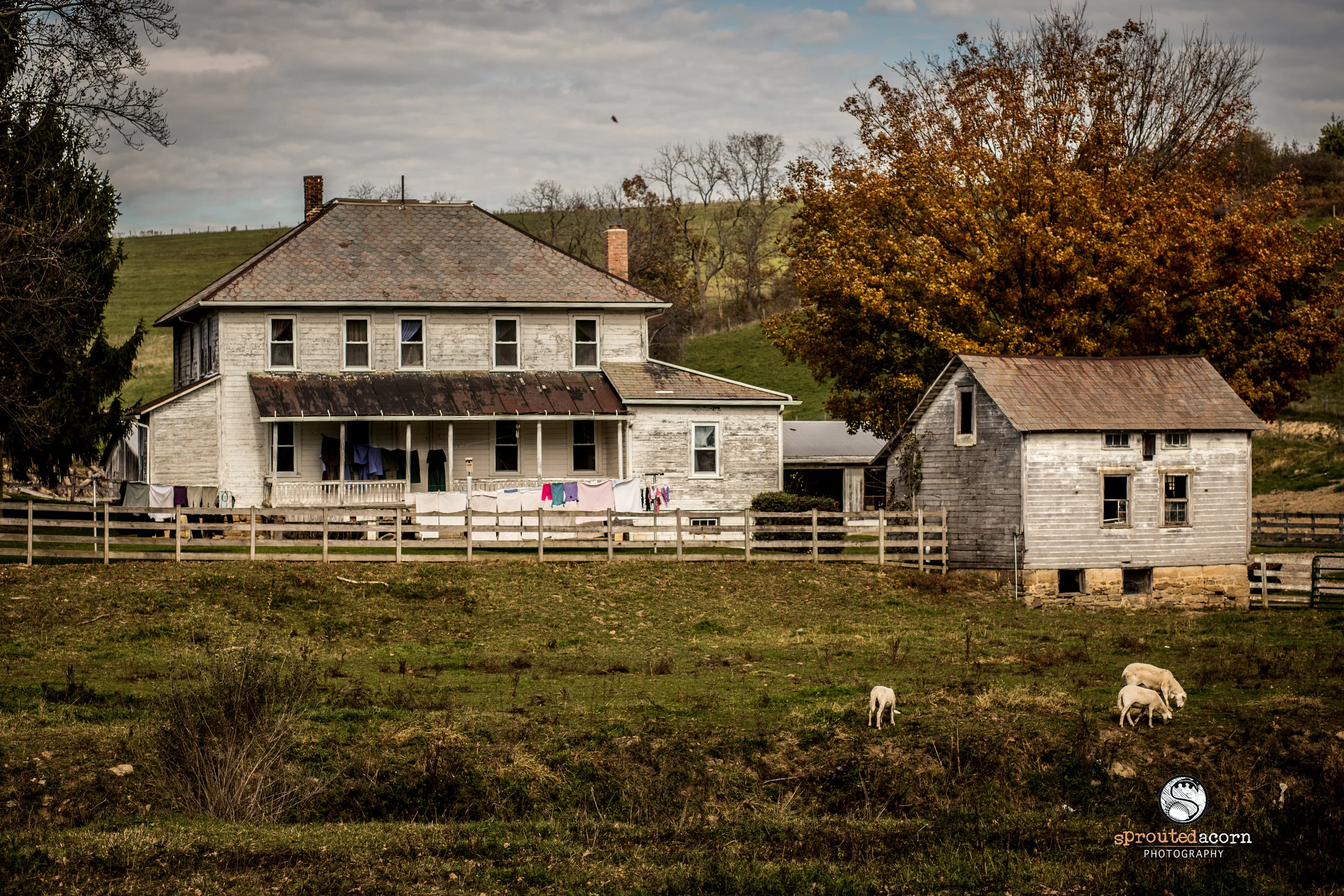 Back road tour fall 2015 (2 of 11).jpg