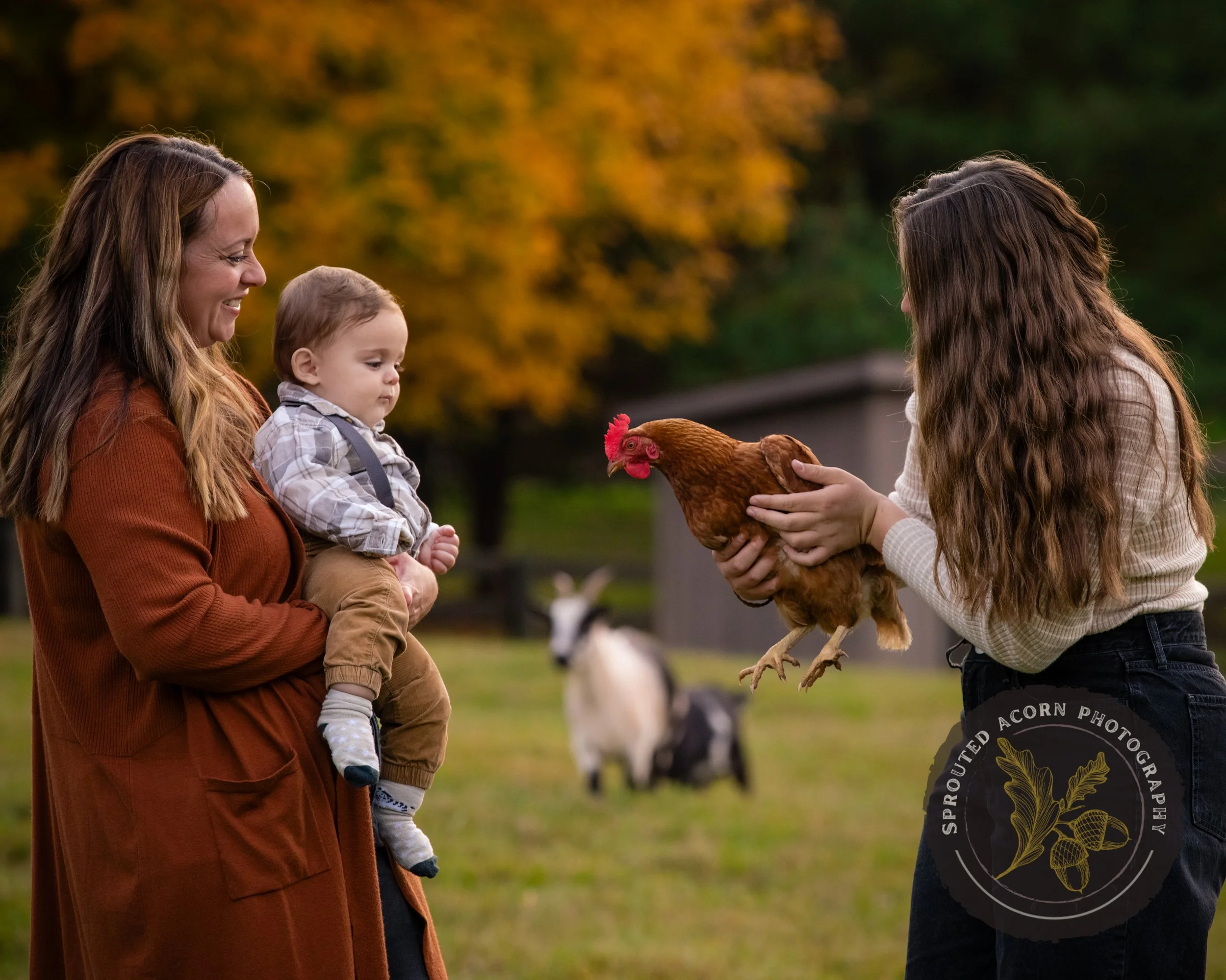 Dawn and Kevin Hershberger Family, October 18, 2025 WW-19.jpg