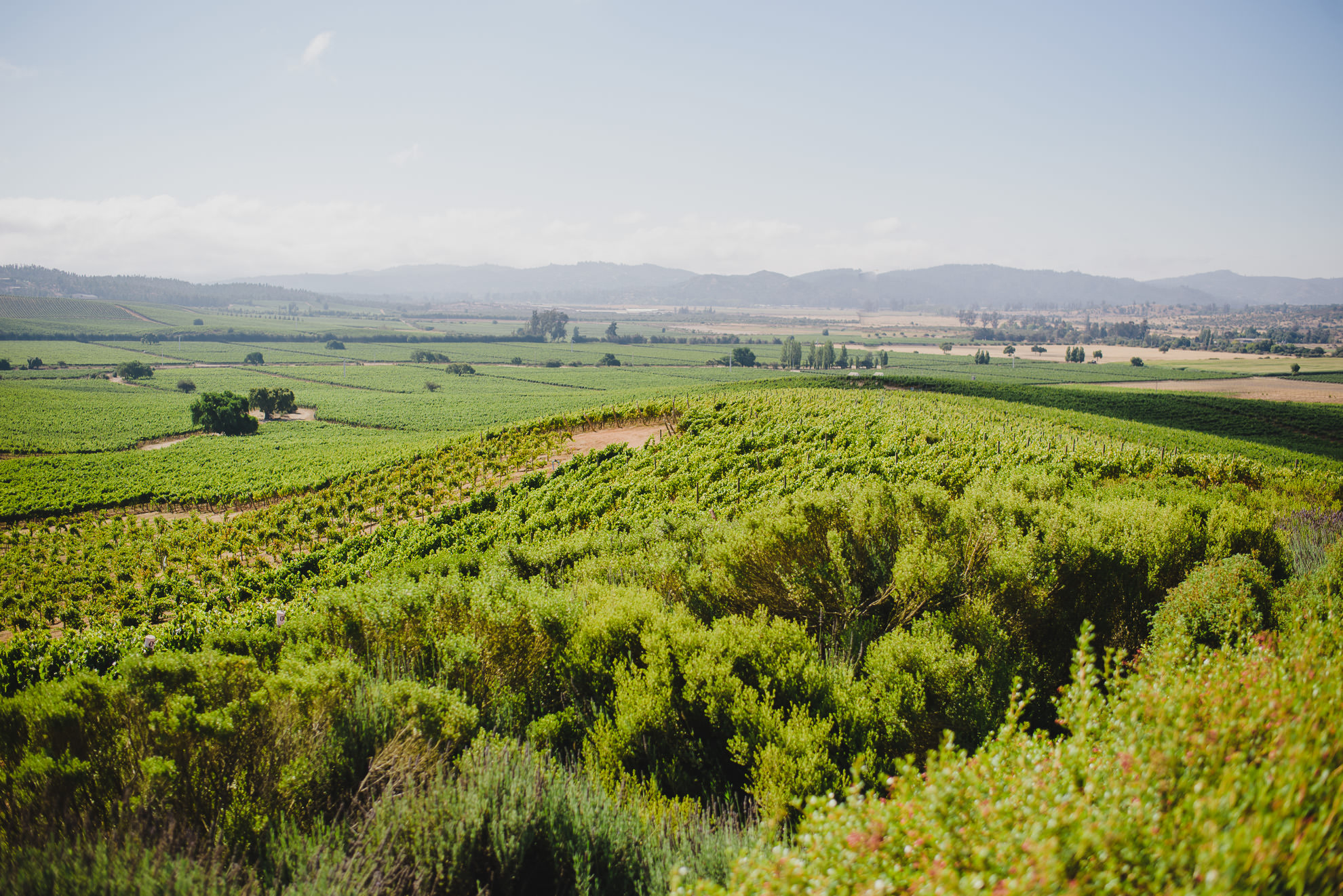 wedding casablanca valley-28.jpg