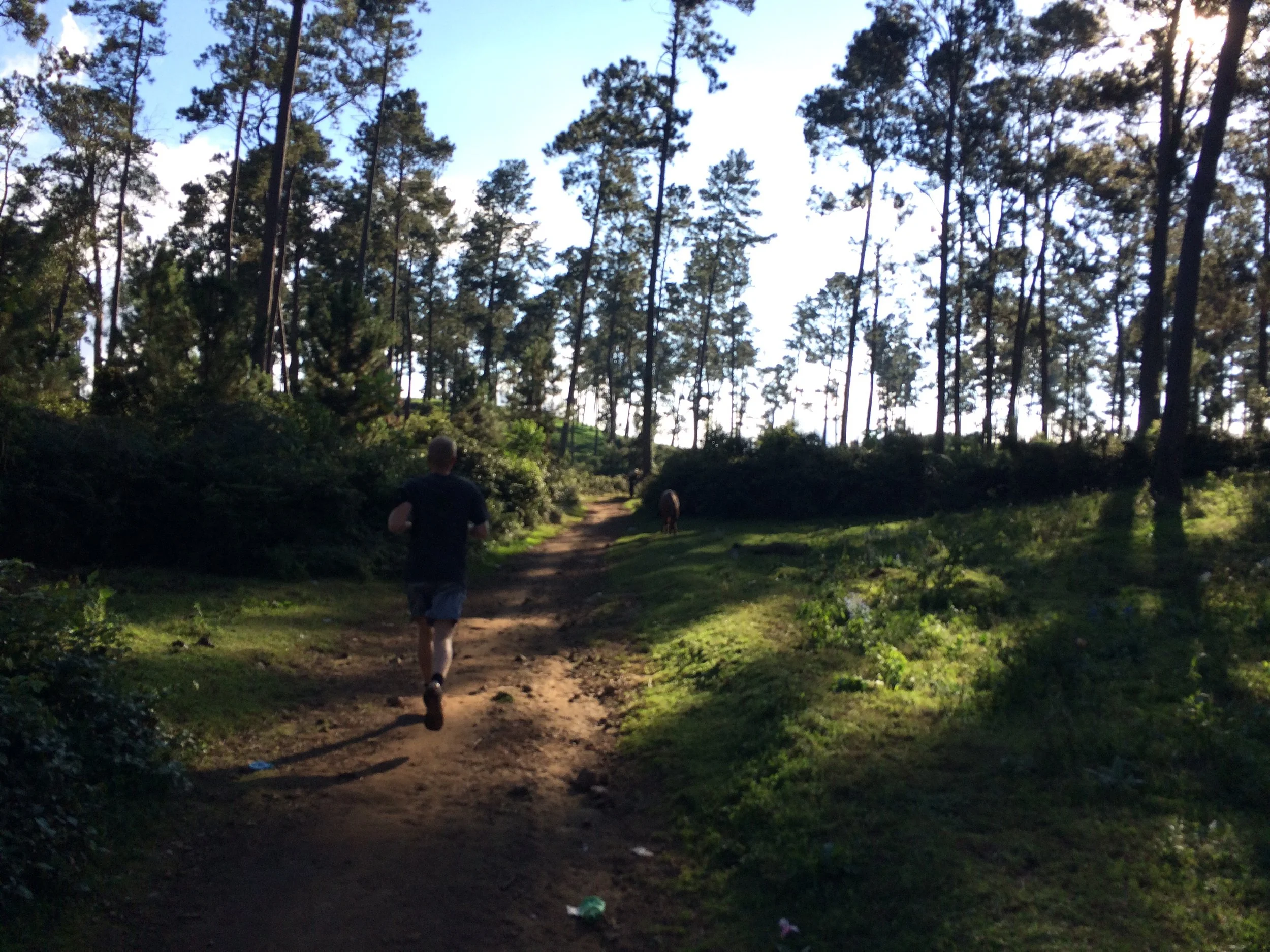 Setting the Pace