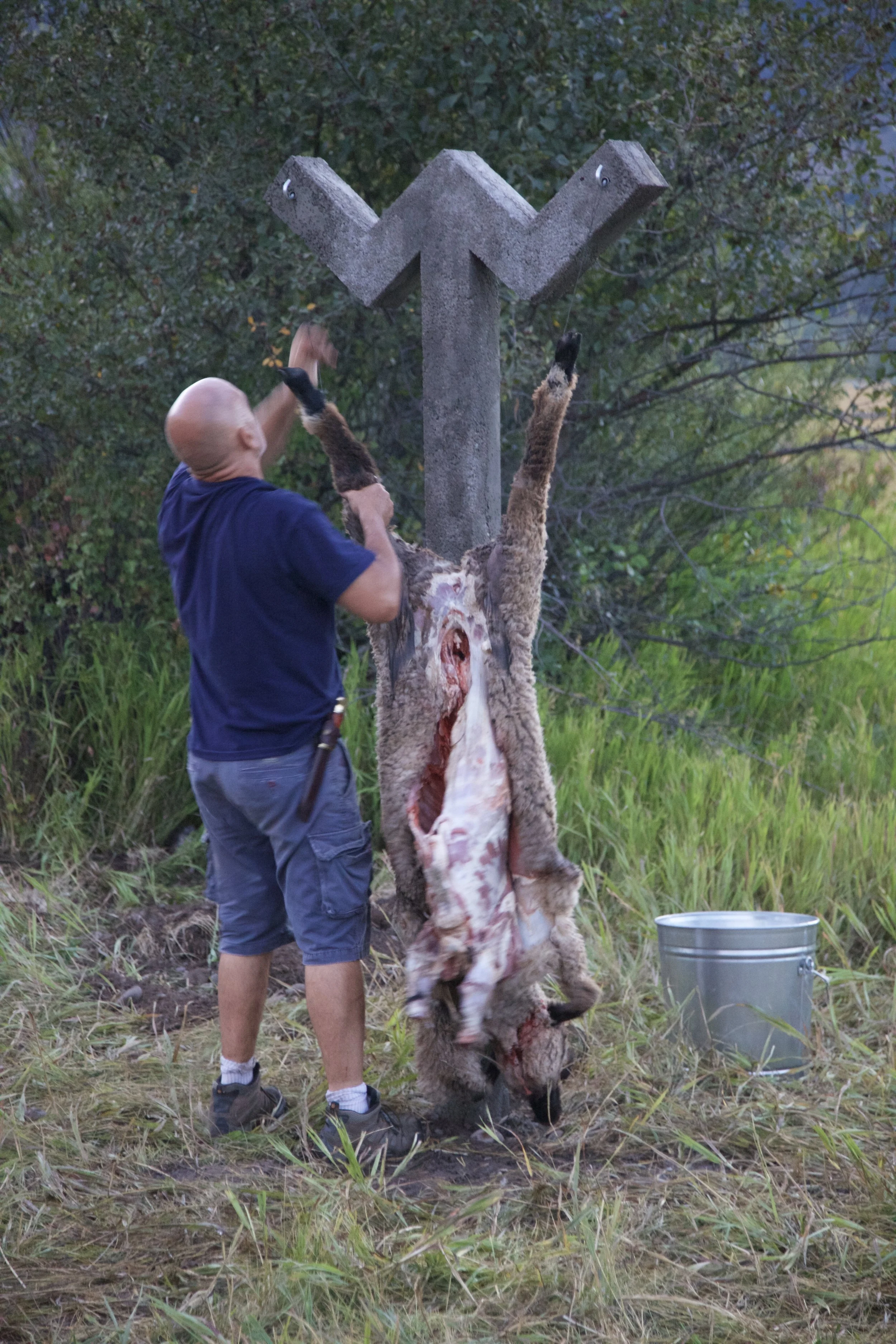 Performance - 2016 - John hangs lamb to rune.jpg
