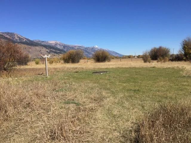 Post Performance - RVIII Regrowth the metaphor continues.JPG