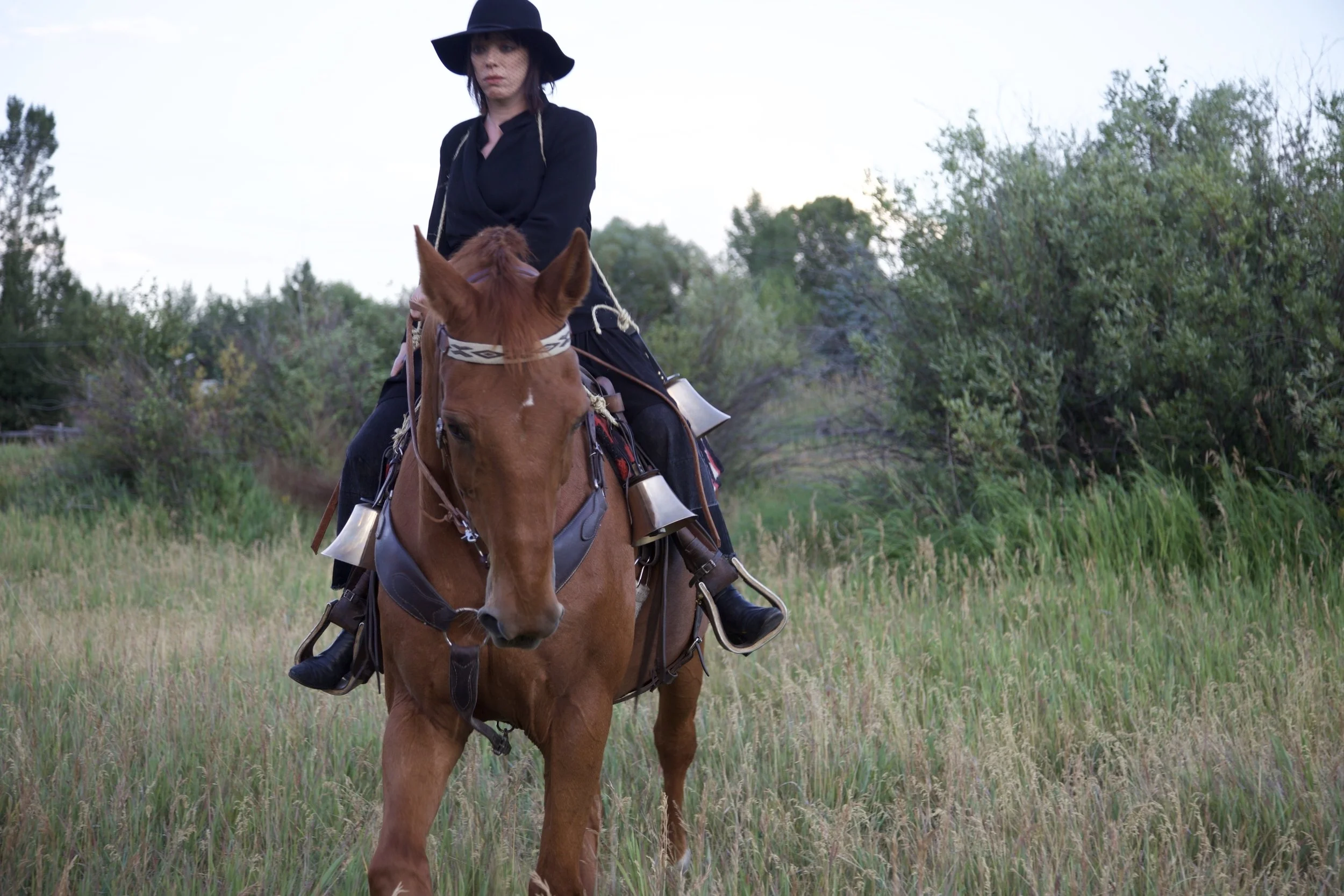 Performance - 1873 - Dana on Horse Movement close.jpg