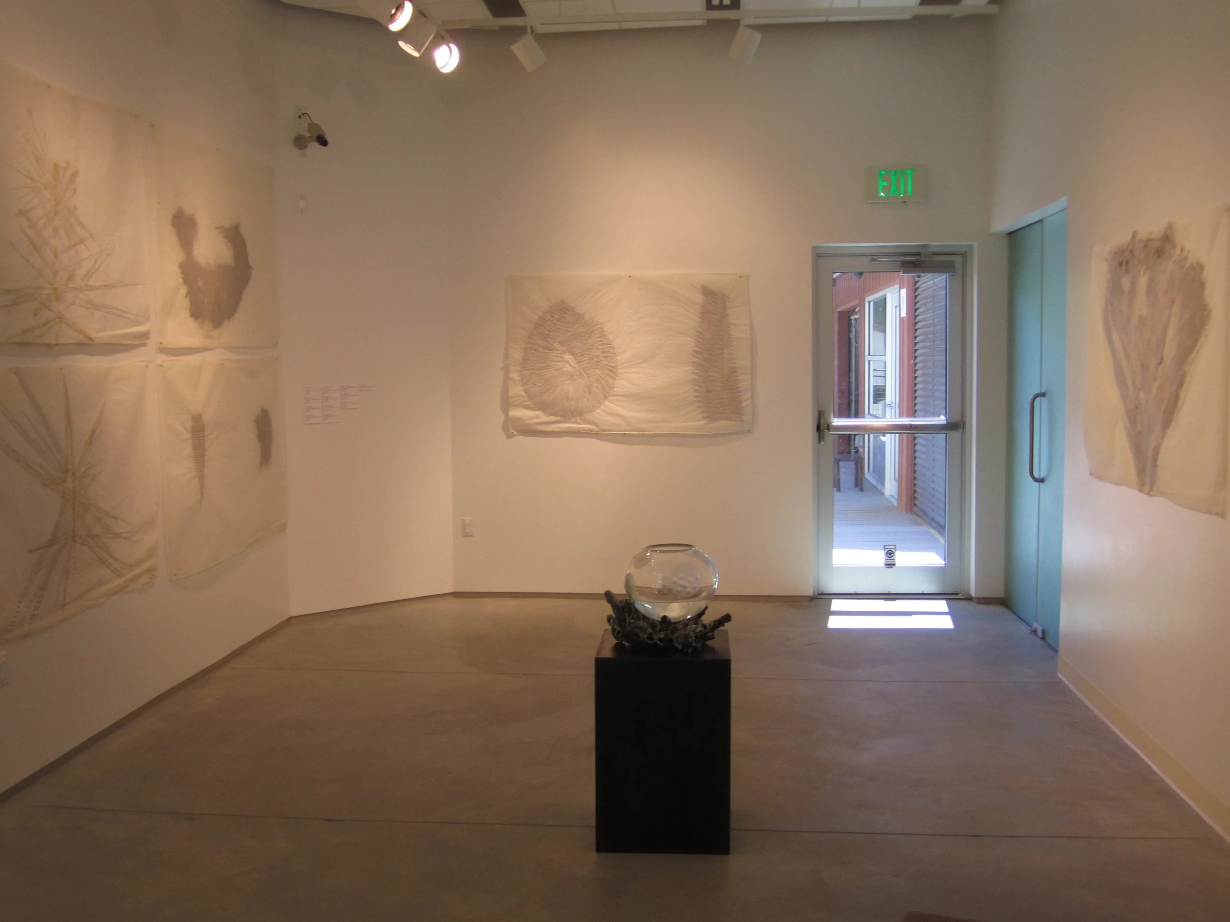 MOD Abaca with fish bowl.JPG