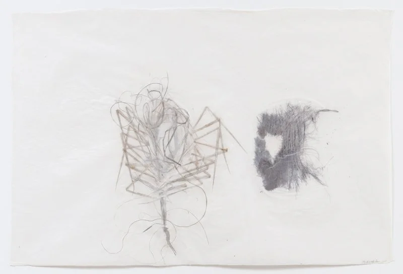 Mesmirist Spider.jpg