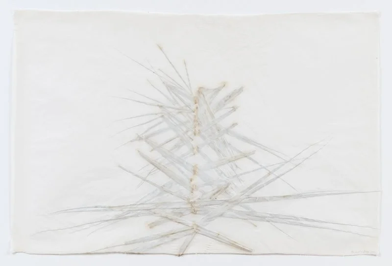 Neuration Mosquito II.jpg